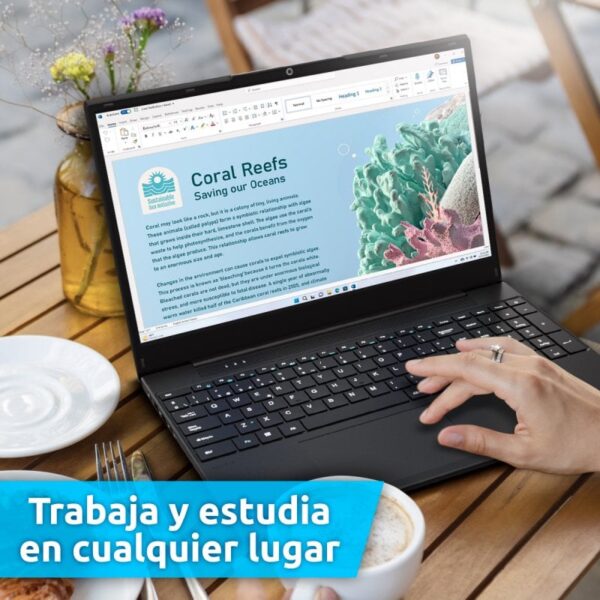 Alurin Flex Advance Intel Core i3-1125G4/8GB/500GB SSD/15,6" + Windows 11 Home